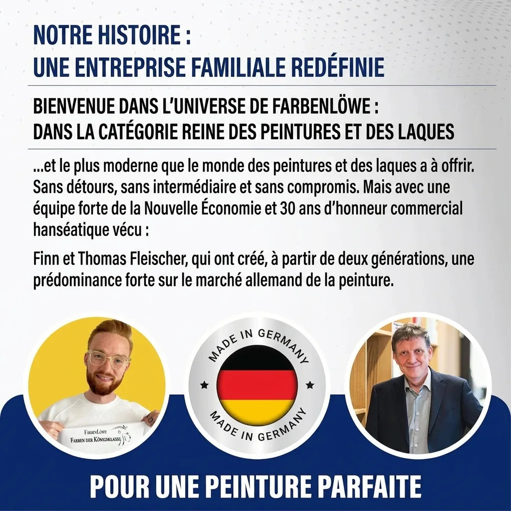 Infographie entreprise familiale allemande de peinture. Présente Finn et Thomas Fleischer, qualité « Made in Germany ».