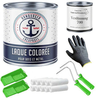 Laque colorée avec kit de peinture (X300) - Hamburger Lack-Profi